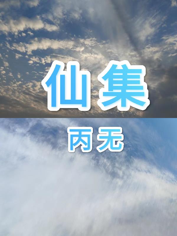 什么集合